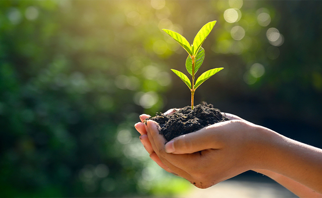 Melhorar a conscientização ambiental dos funcionários